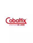 Cobaltix - Tessella