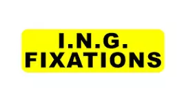I.N.G Fixation - Tessella