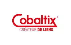 Cobaltix - Tessella