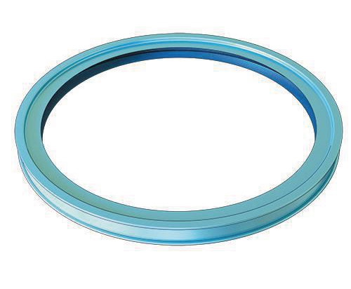 Joint de rechange silicone | Ten