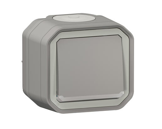 Interrupteur ou va-et-vient lumineux avec voyant étanche | Plexo 10AX 250V IP55 IK08 | Legrand