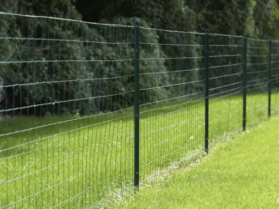 Poteau T pour clôture grillage | Dirickx