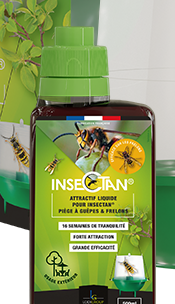 Flacon attractif pour piège à guêpes et frelons | Insectan | LODIGROUP