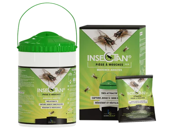 Piège à mouches réutilisable + attractif – Insectan – Lodigroup
