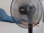 Ventilateur sur pied  noir Bergen 16C Taurus Alpatec