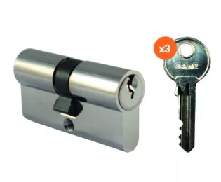 Cylindre de sécurité Neptune en laiton 3 clés - Impar