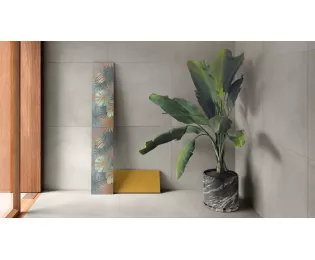 Civico 38 | 60x60 | POLIS