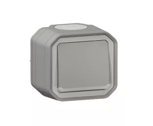 Interrupteur ou va-et-vient lumineux avec voyant étanche | Plexo 10AX 250V IP55 IK08 | Legrand