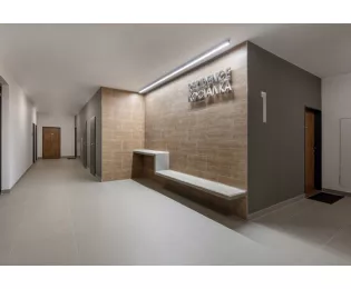 Taurus Granit S R10 lisse | ABS | 20x20 | Rako