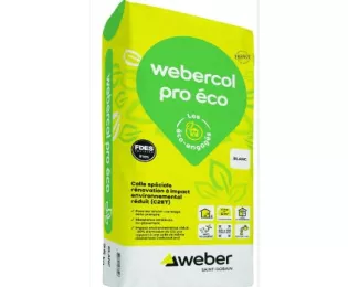 Colle spéciale rénovation | Col pro Enae | Weber