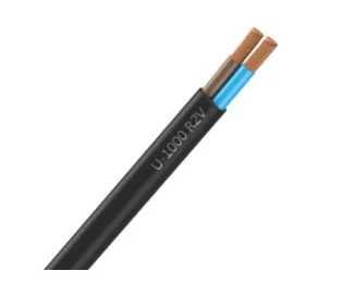 Câble  électrique R2V 2 x 25 mm² à la coupe