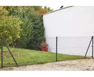 Grillage en rouleau | simple torsion | plastifié vert | 50x50 | Dirickx